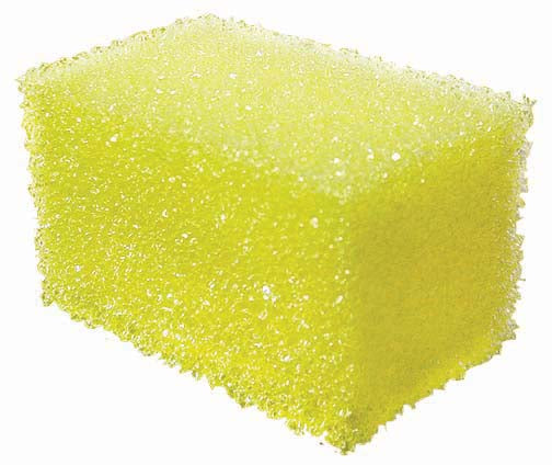 SCRUB SPONGE