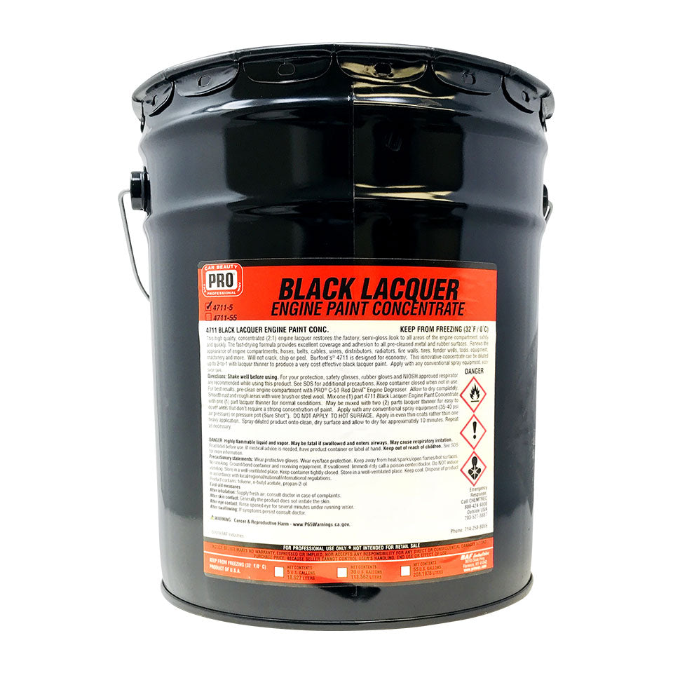 BLACK ENGINE PAINT CONCENTRATE | PRO® Car Beauty Products – PRO® Wax USA